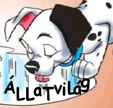 llatvilg